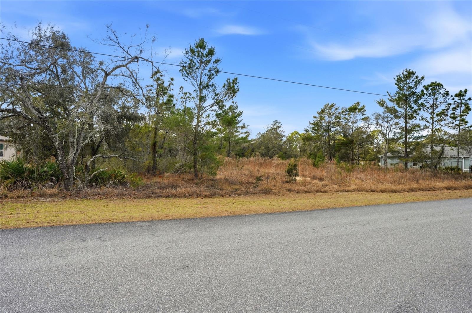 11263 MEXICAN CANARY AVE