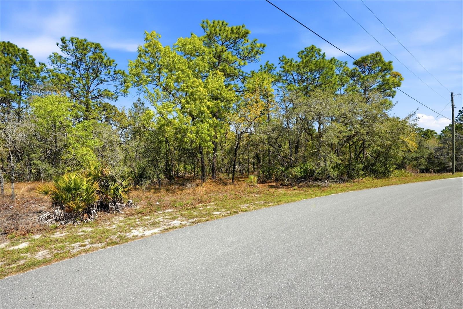 11155 MARSH WREN AVE