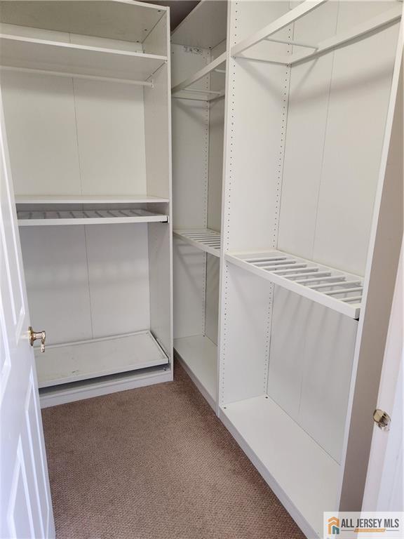 Empty walk-in closet with white built-in shelving and beige carpet.