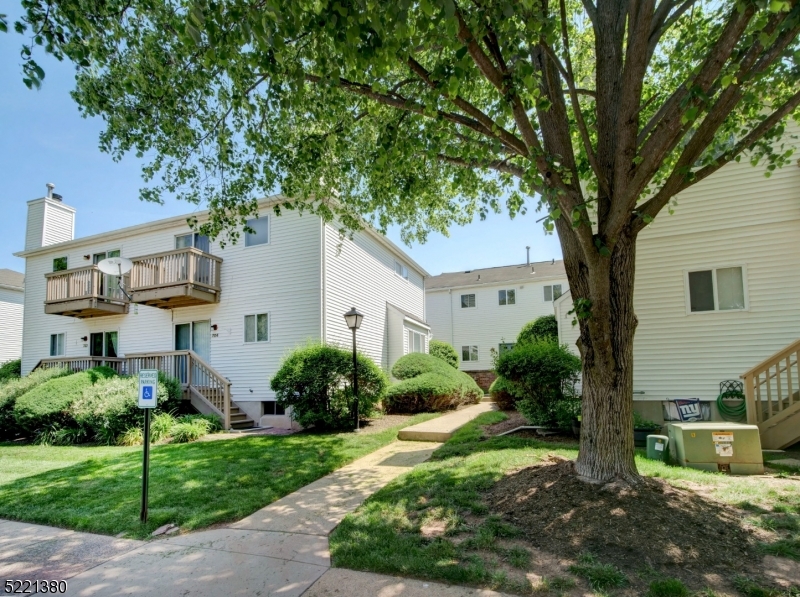 White residential buildings and landscaped walkway beneath a large shade tree.