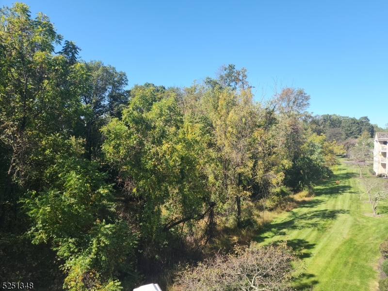 85 Rachel Ct
