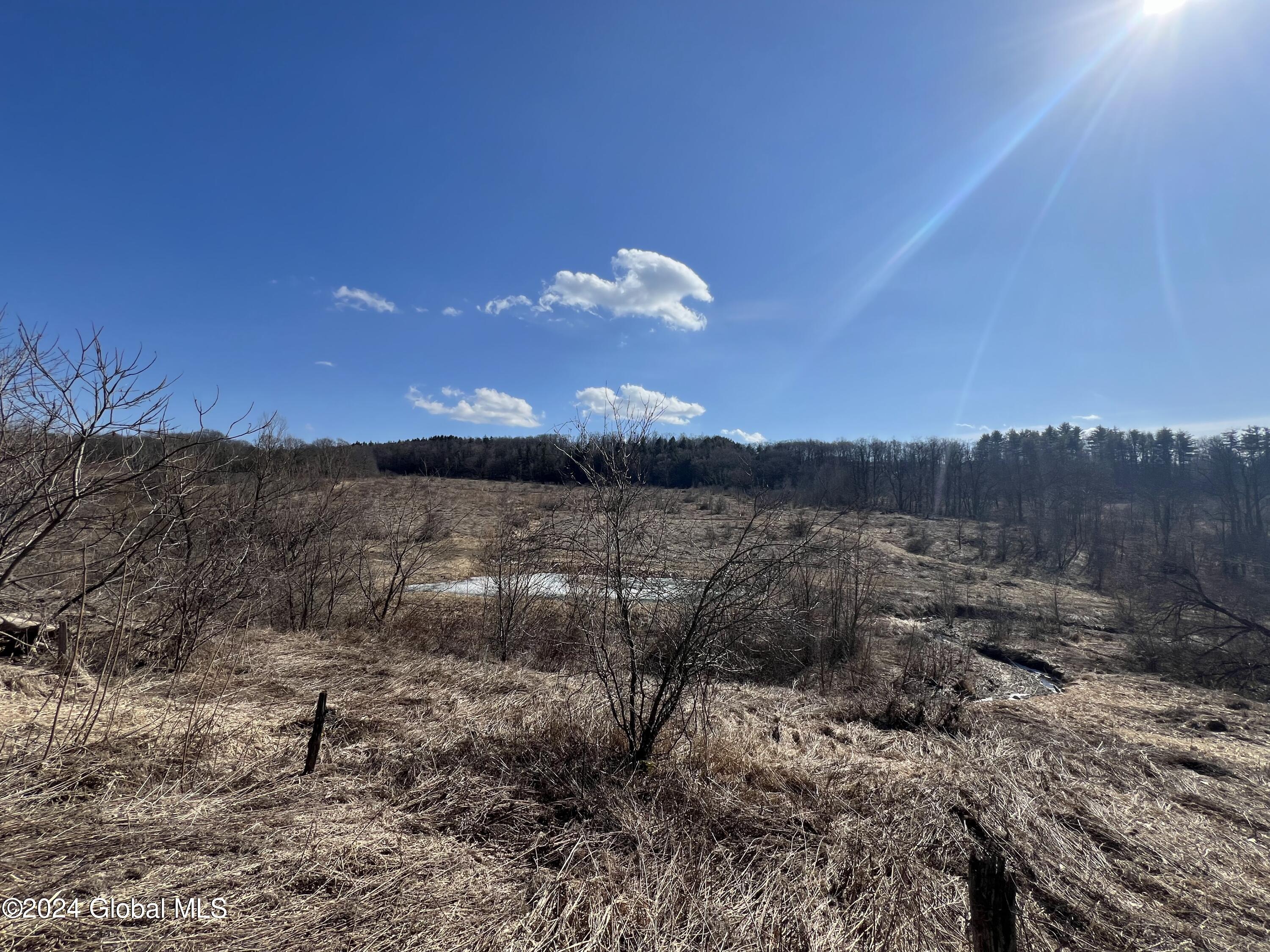 338 Sulphur Springs Road