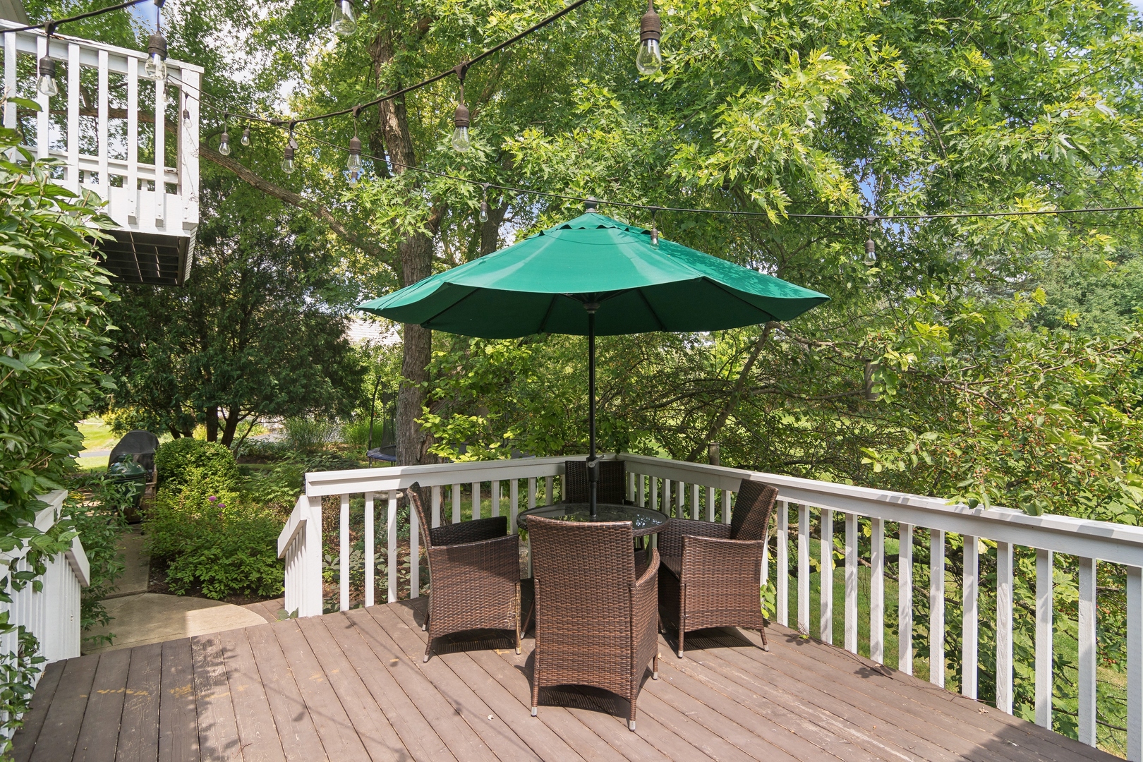 25333 N Cayuga Trail