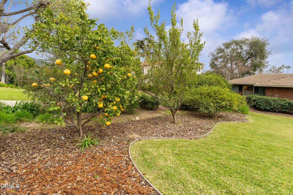 1752 E Altadena Drive