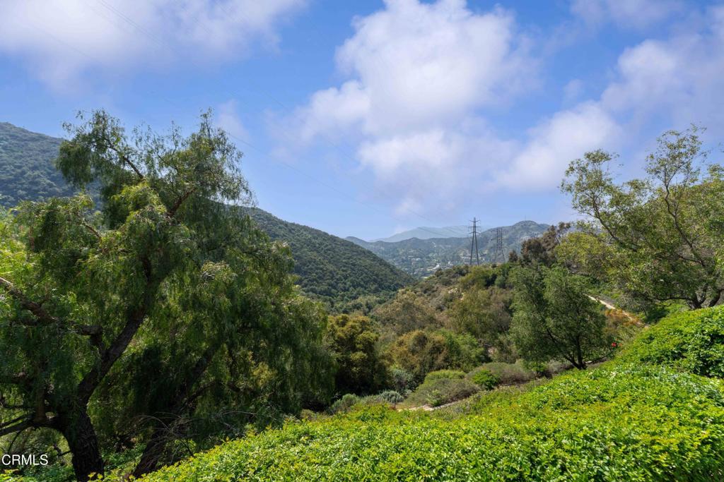 3153 Dragonfly Street