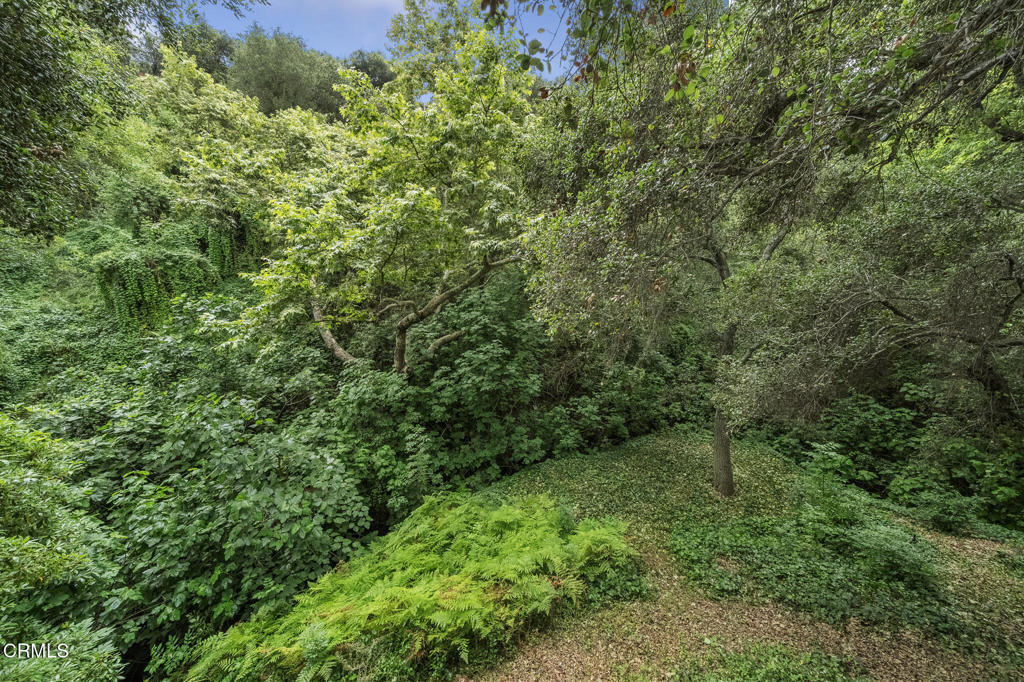 951 Laguna Road