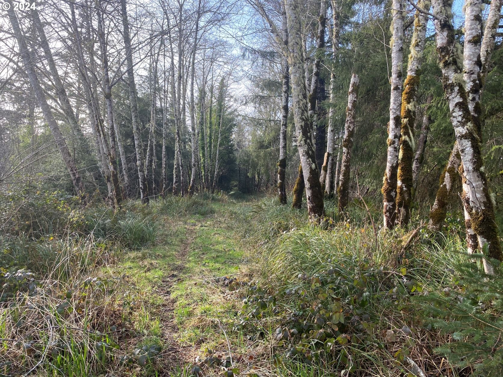 Hawkins Rd