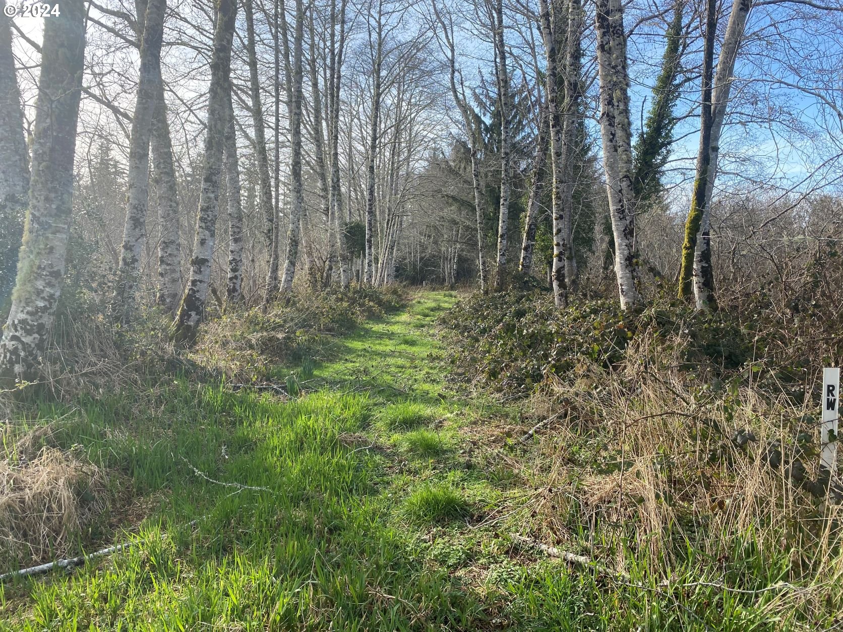 Hawkins Rd