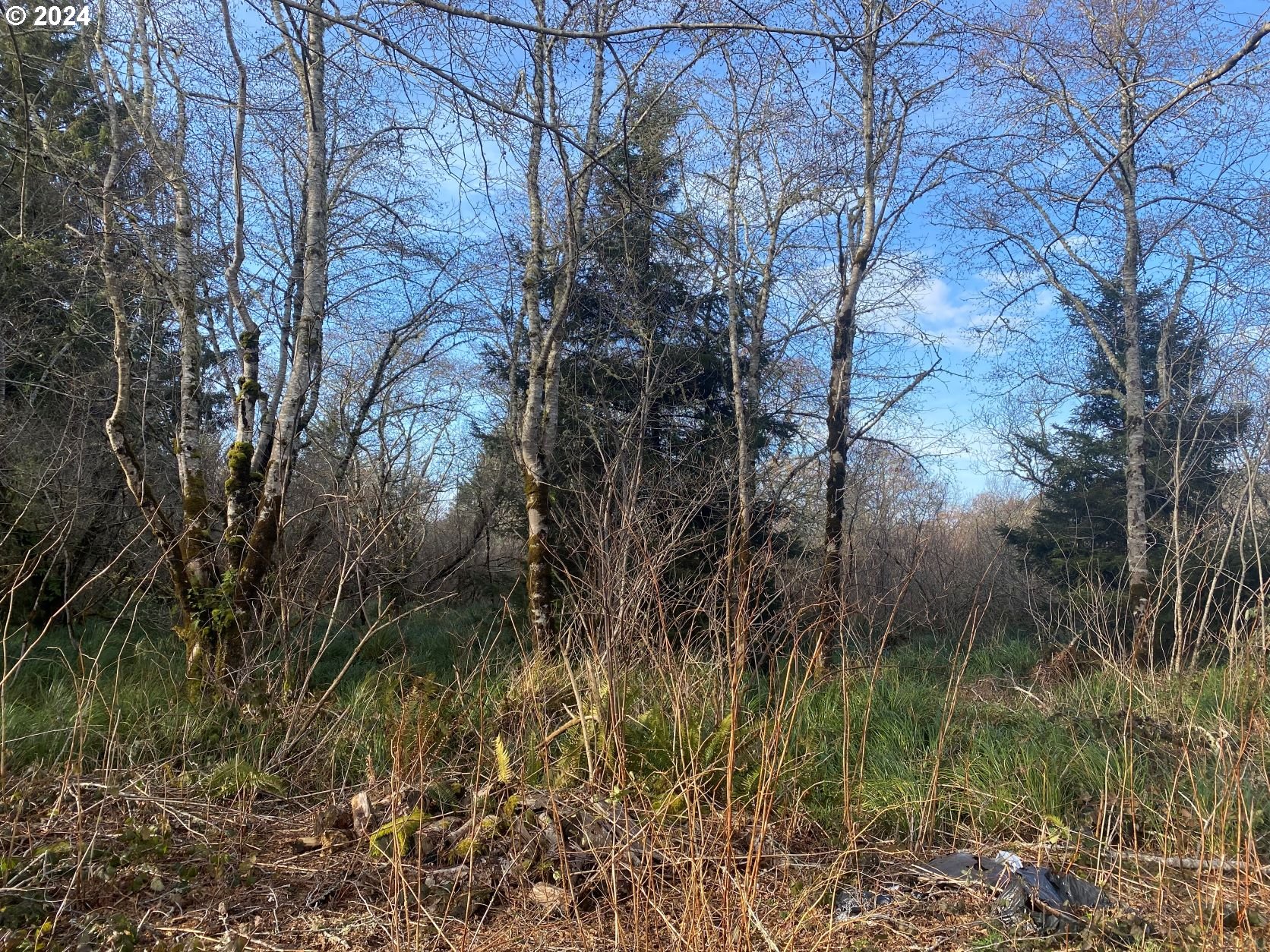Hawkins Rd