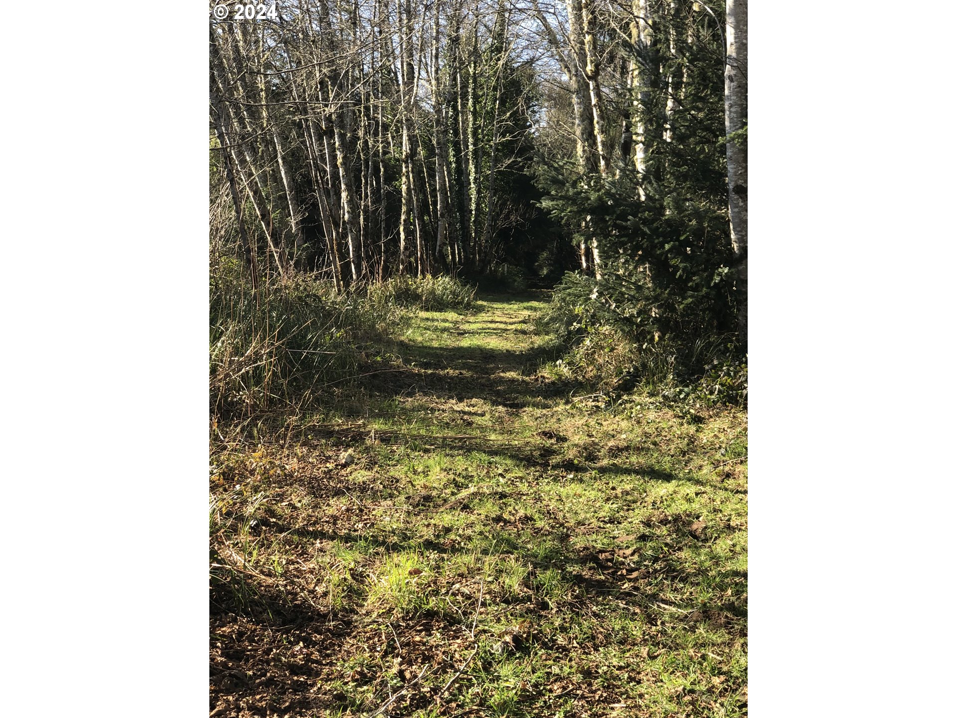 Hawkins Rd