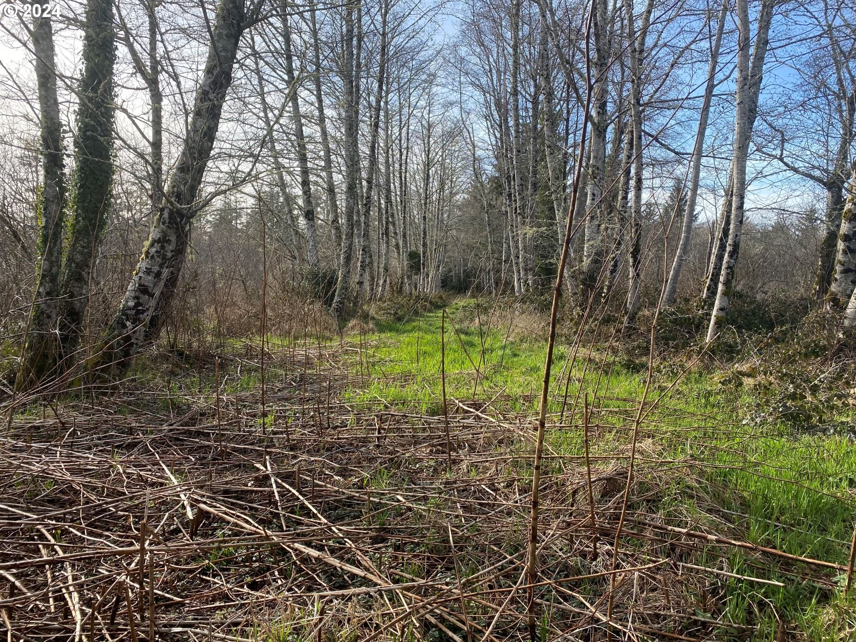 Hawkins Rd