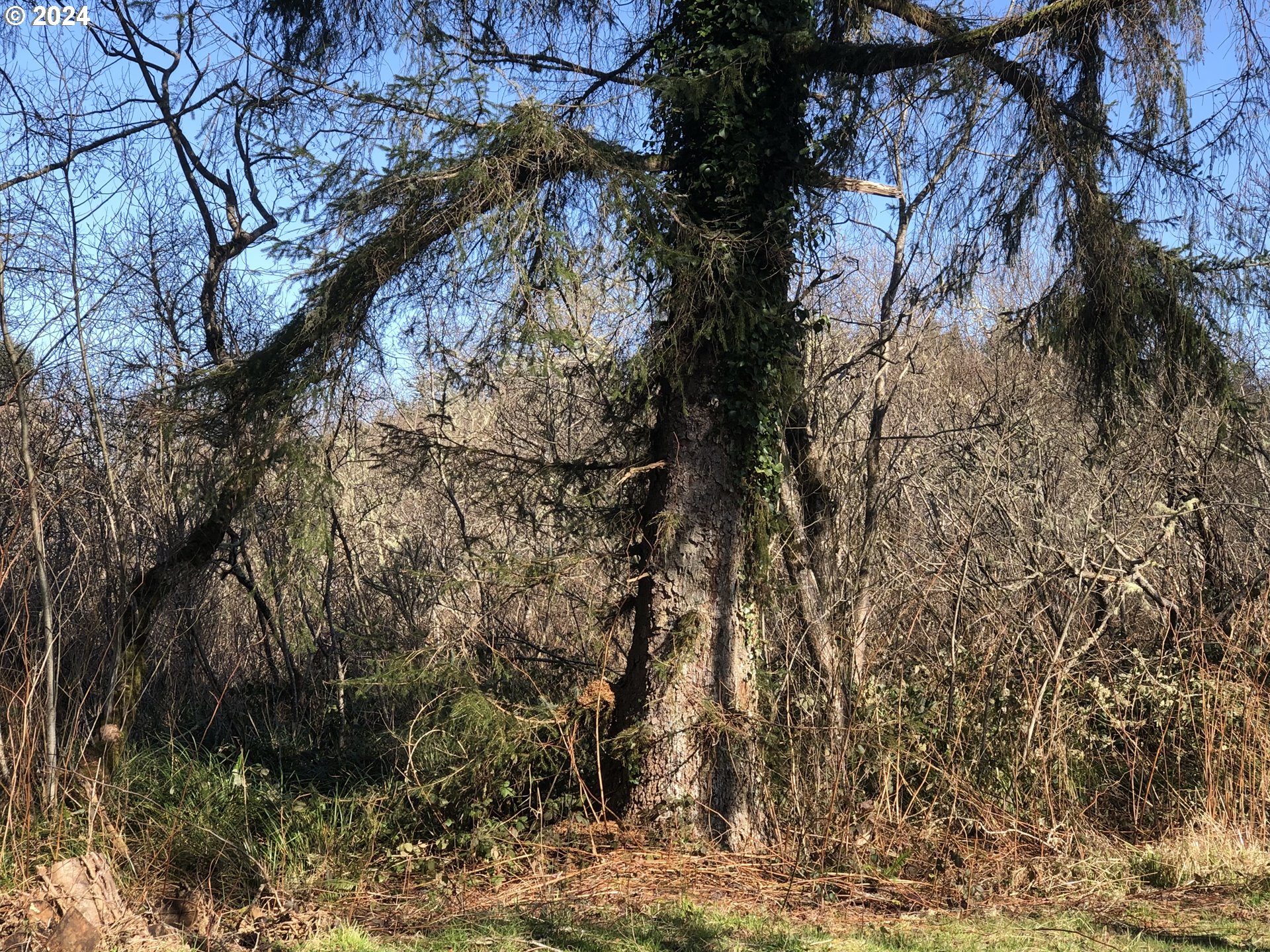 Hawkins Rd