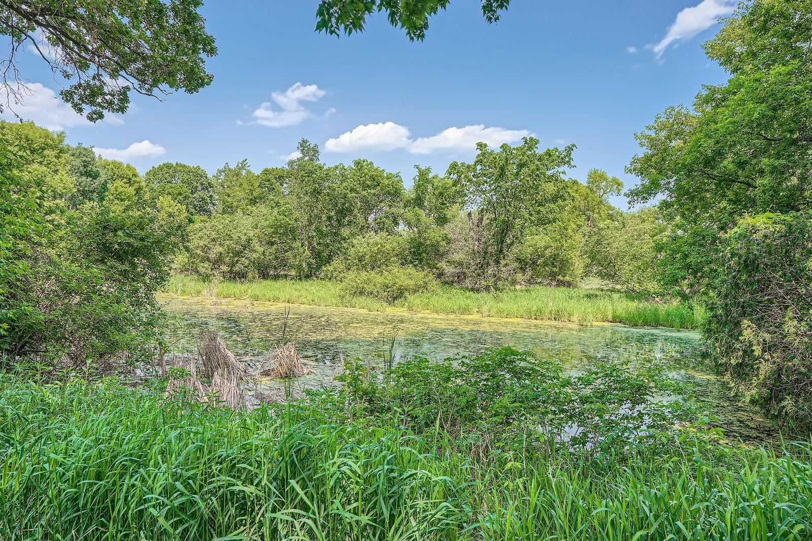 19031 Xavier Street NW
