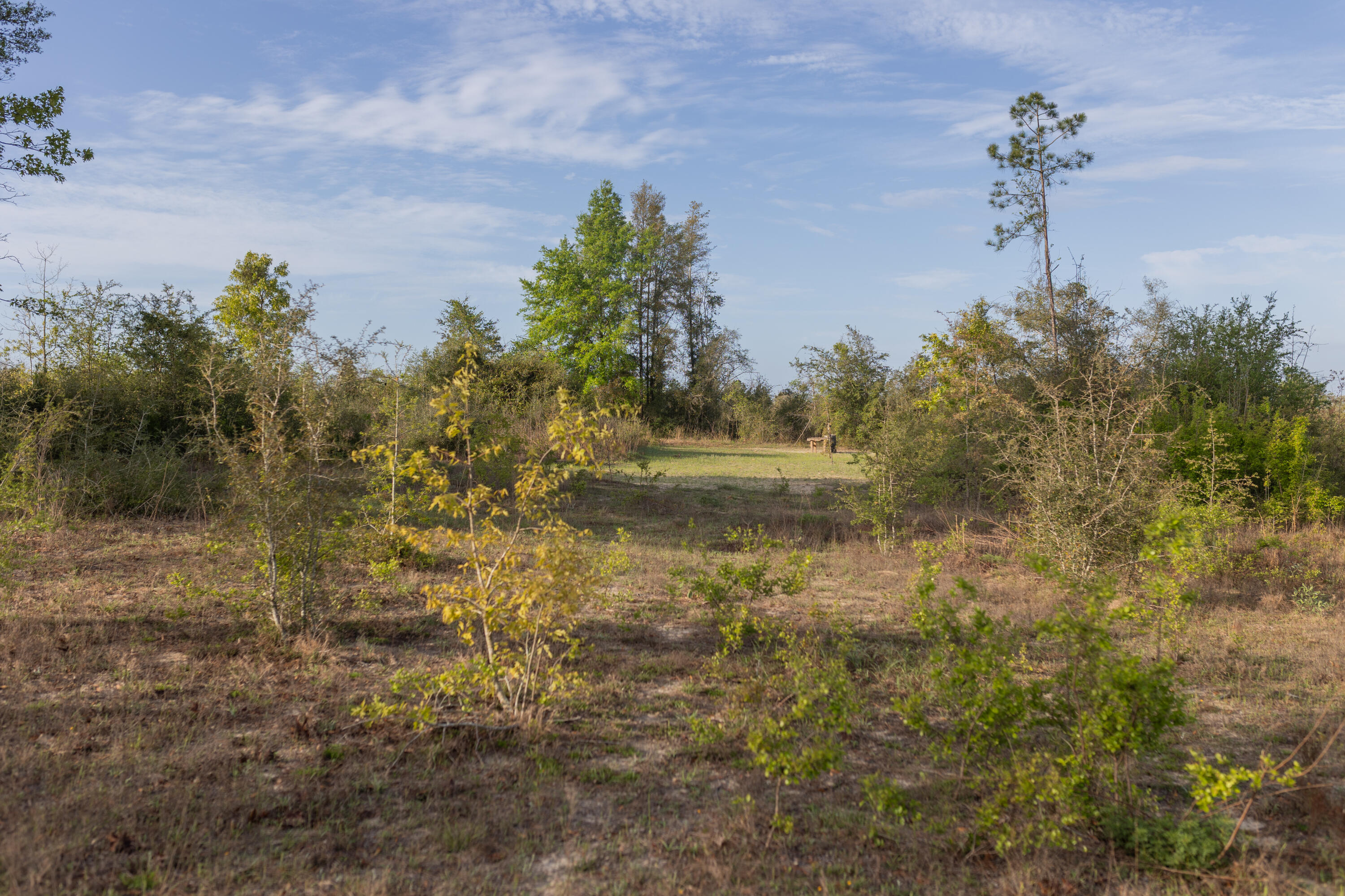 2113 TBD 526 Acres +/-