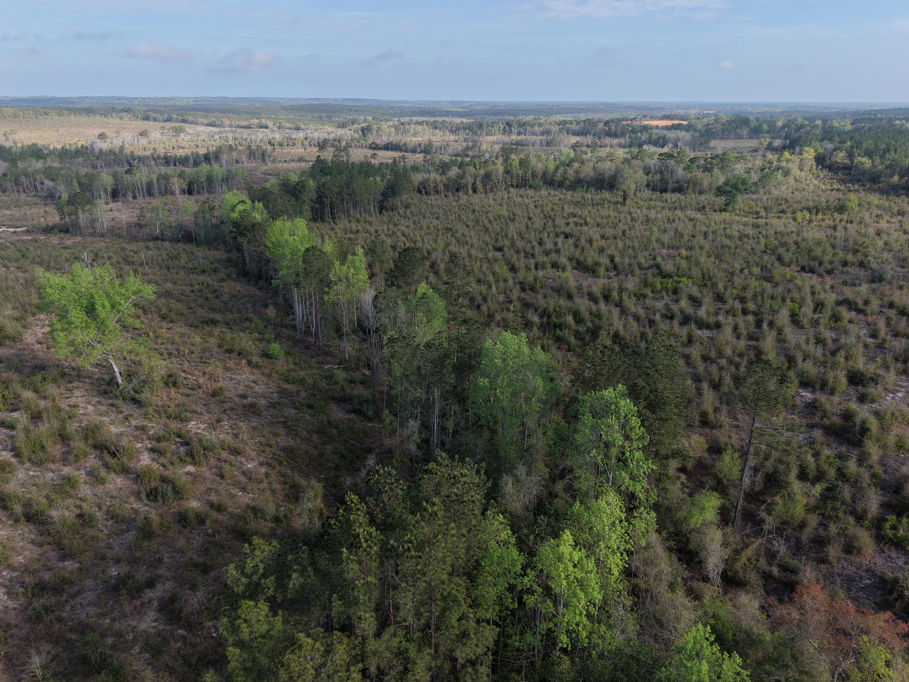 2113 TBD 526 Acres +/-