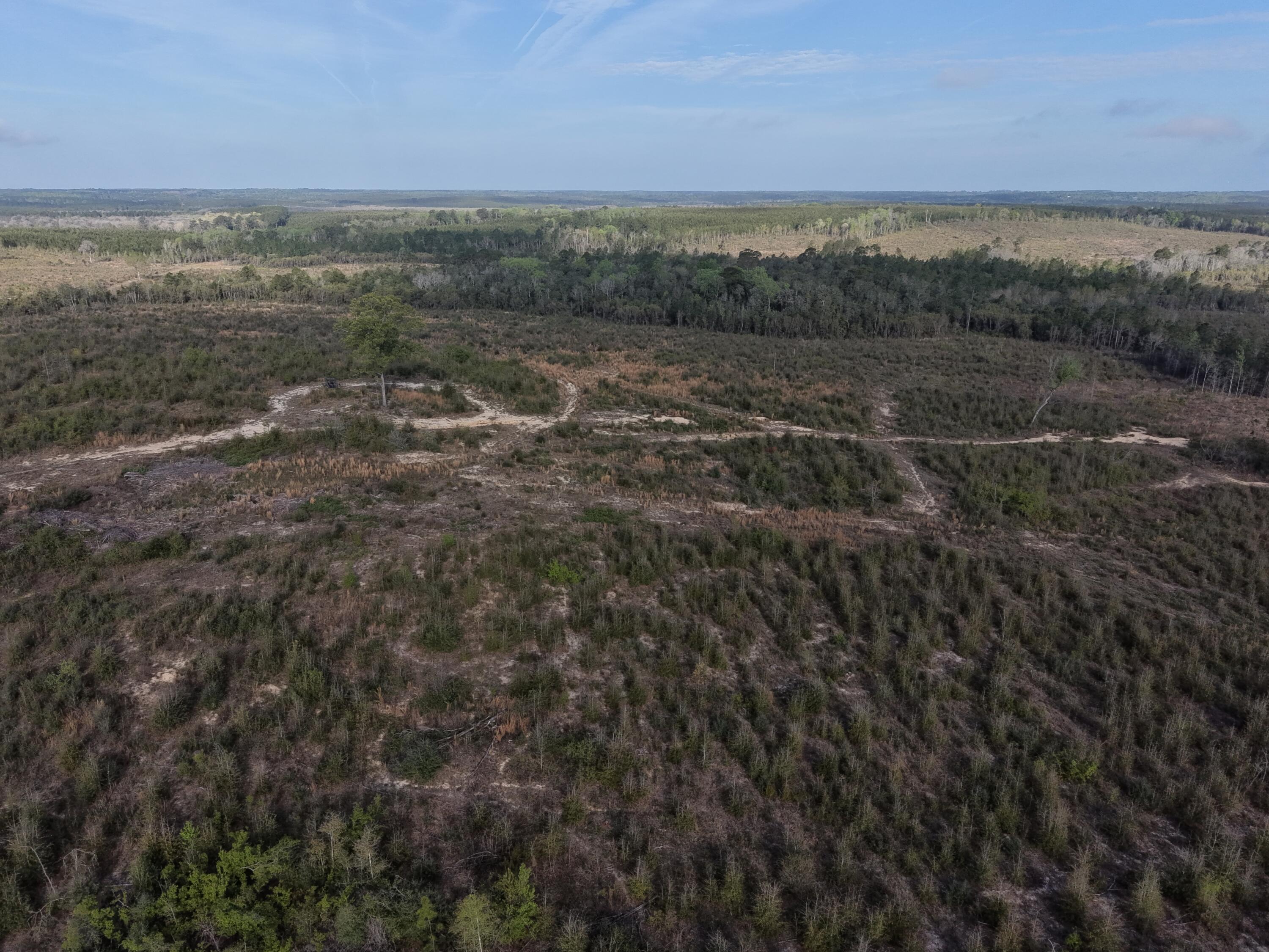 2113 TBD 526 Acres +/-