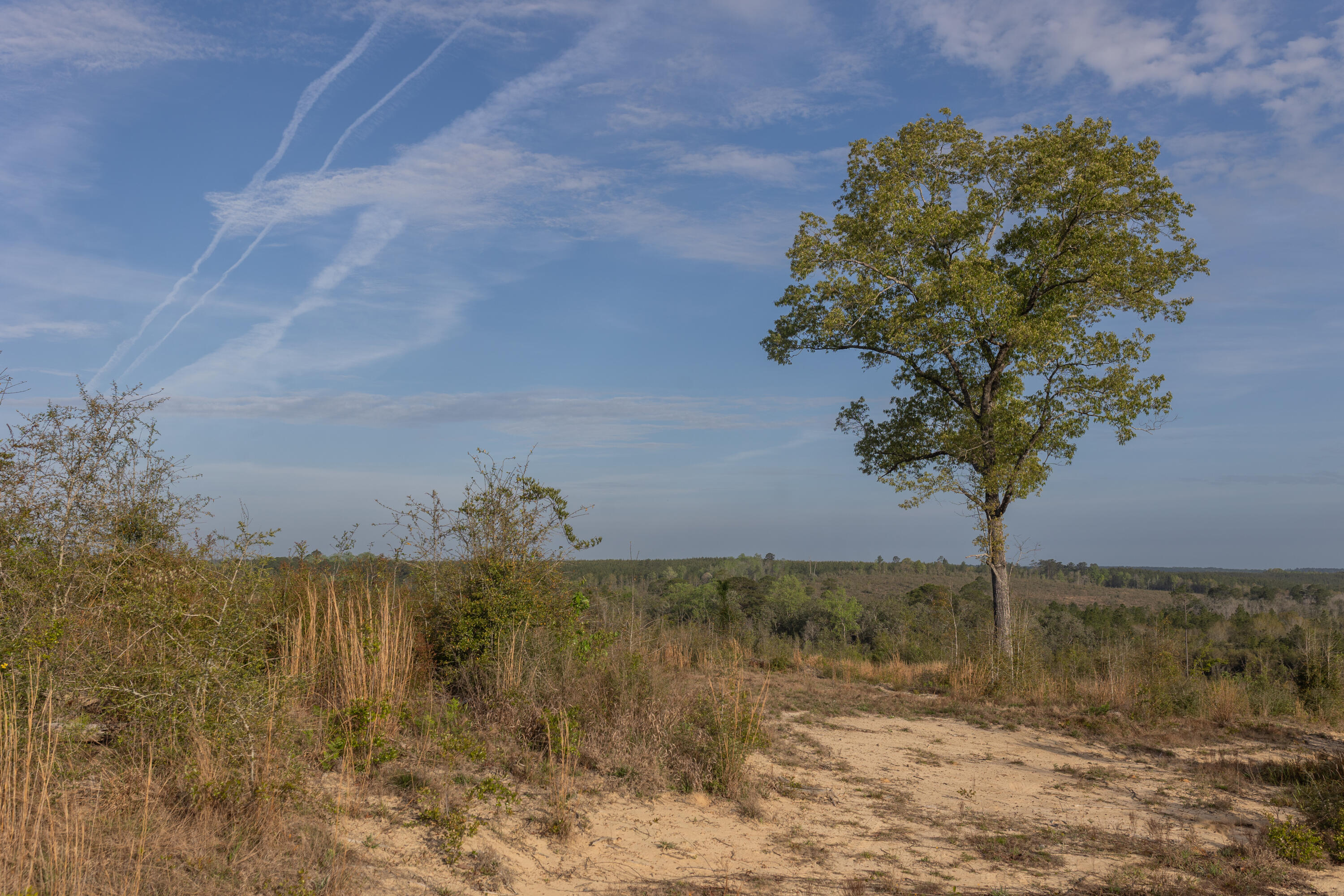 2113 TBD 526 Acres +/-