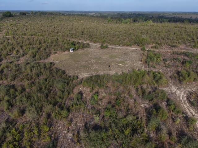1718 TBD 198 Acres +/-