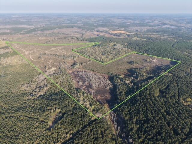 1718 TBD 198 Acres +/-
