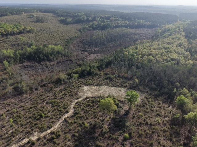 1718 TBD 198 Acres +/-