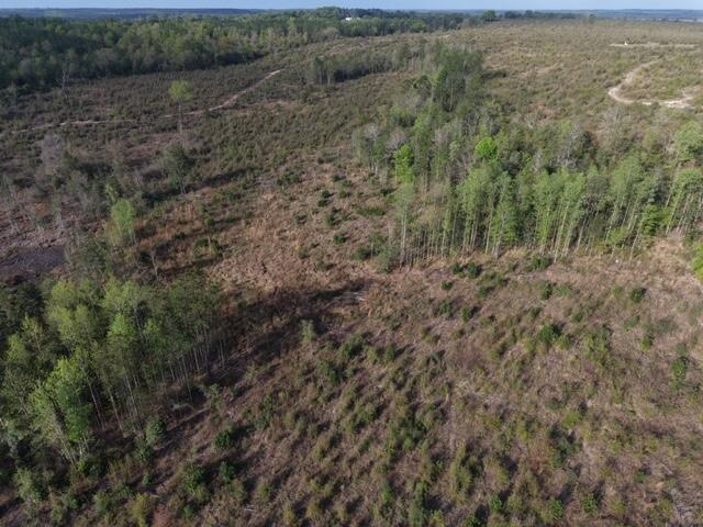 1718 TBD 198 Acres +/-
