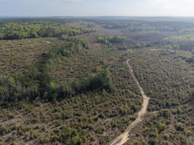 1718 TBD 198 Acres +/-