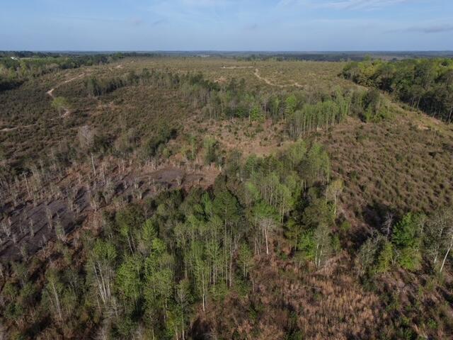 1718 TBD 198 Acres +/-
