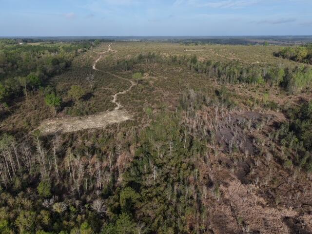 1718 TBD 198 Acres +/-