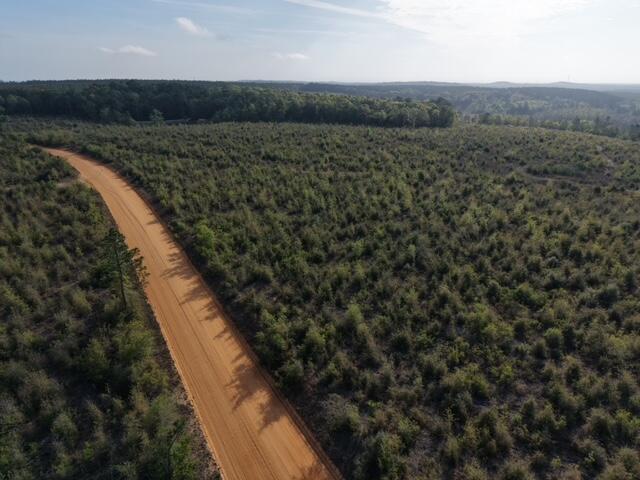 1718 TBD 198 Acres +/-
