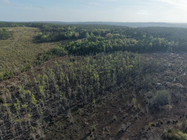 1718 TBD 198 Acres +/-