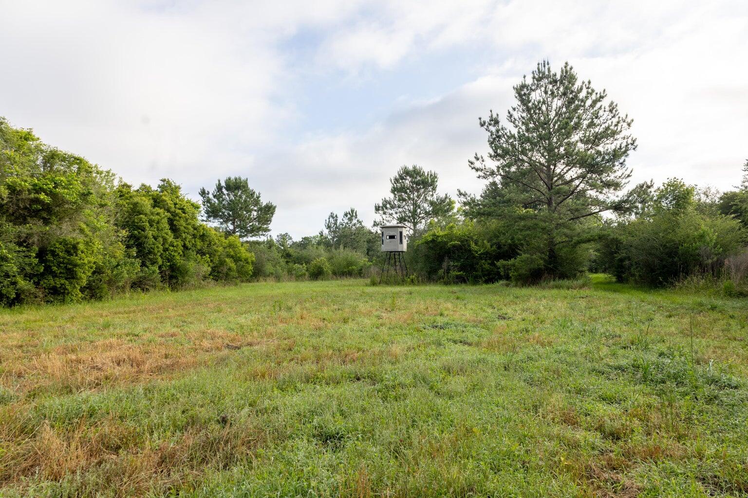405 Walden Lane