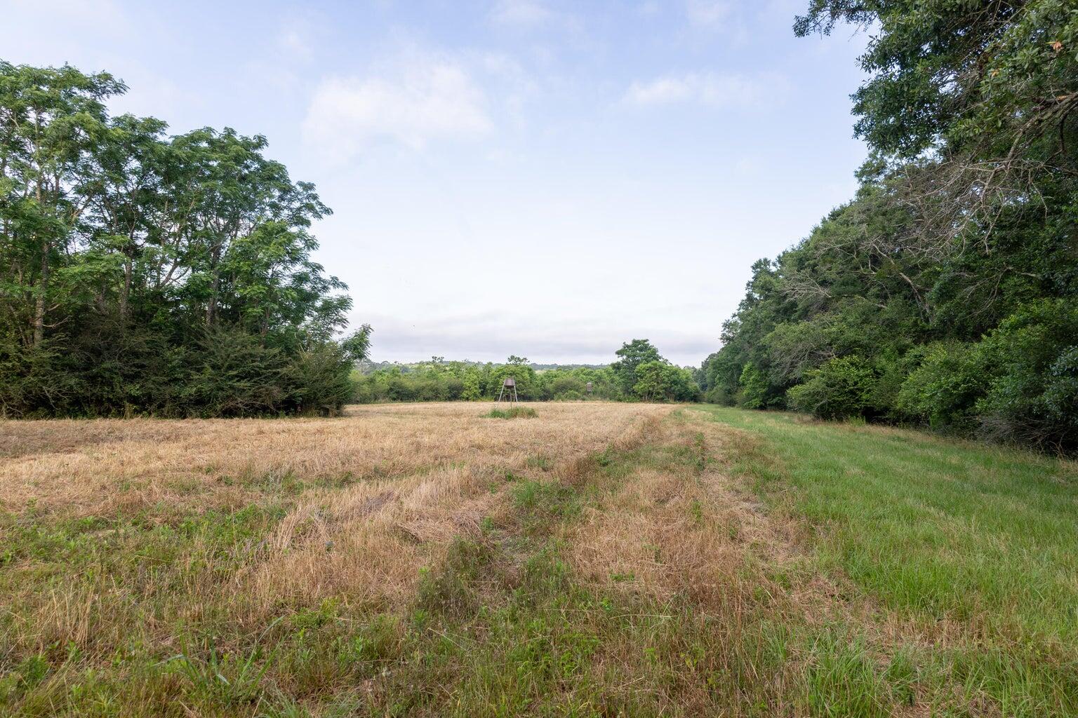 405 Walden Lane
