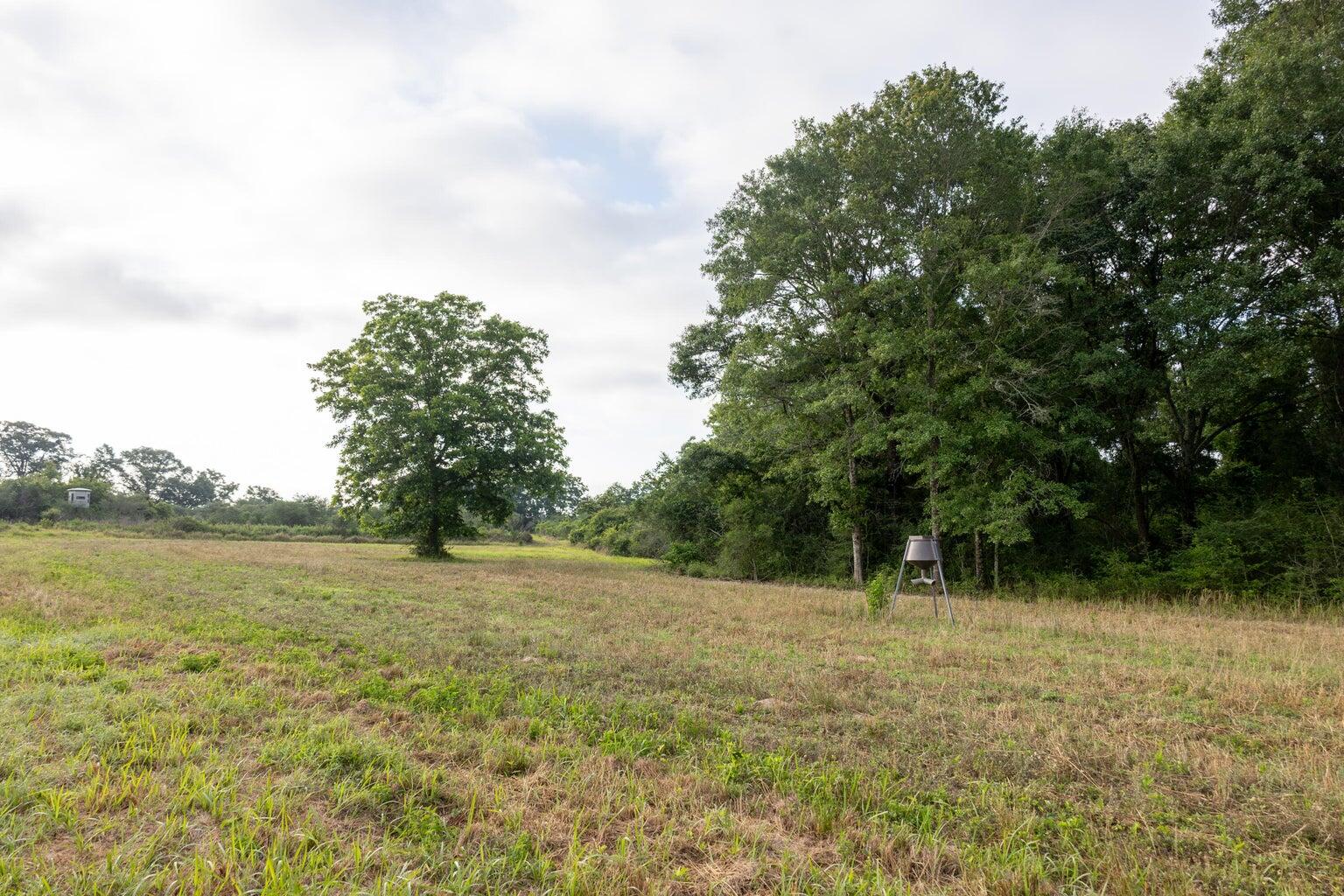 405 Walden Lane