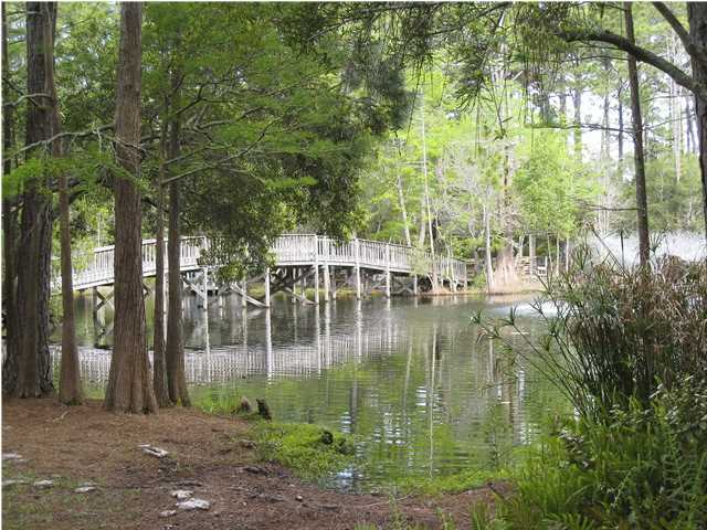 14 Cypress, 183
