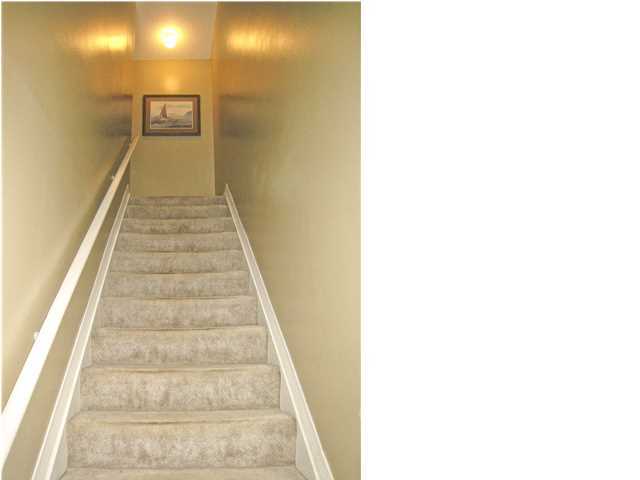 14 Cypress, 183