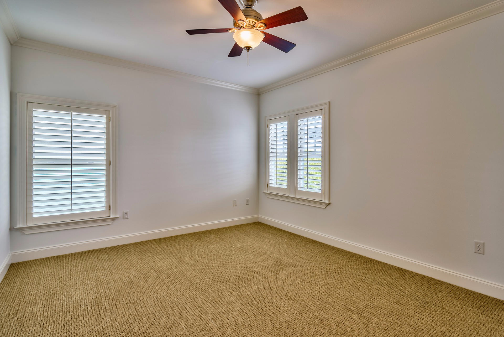 48 SURFER Lane