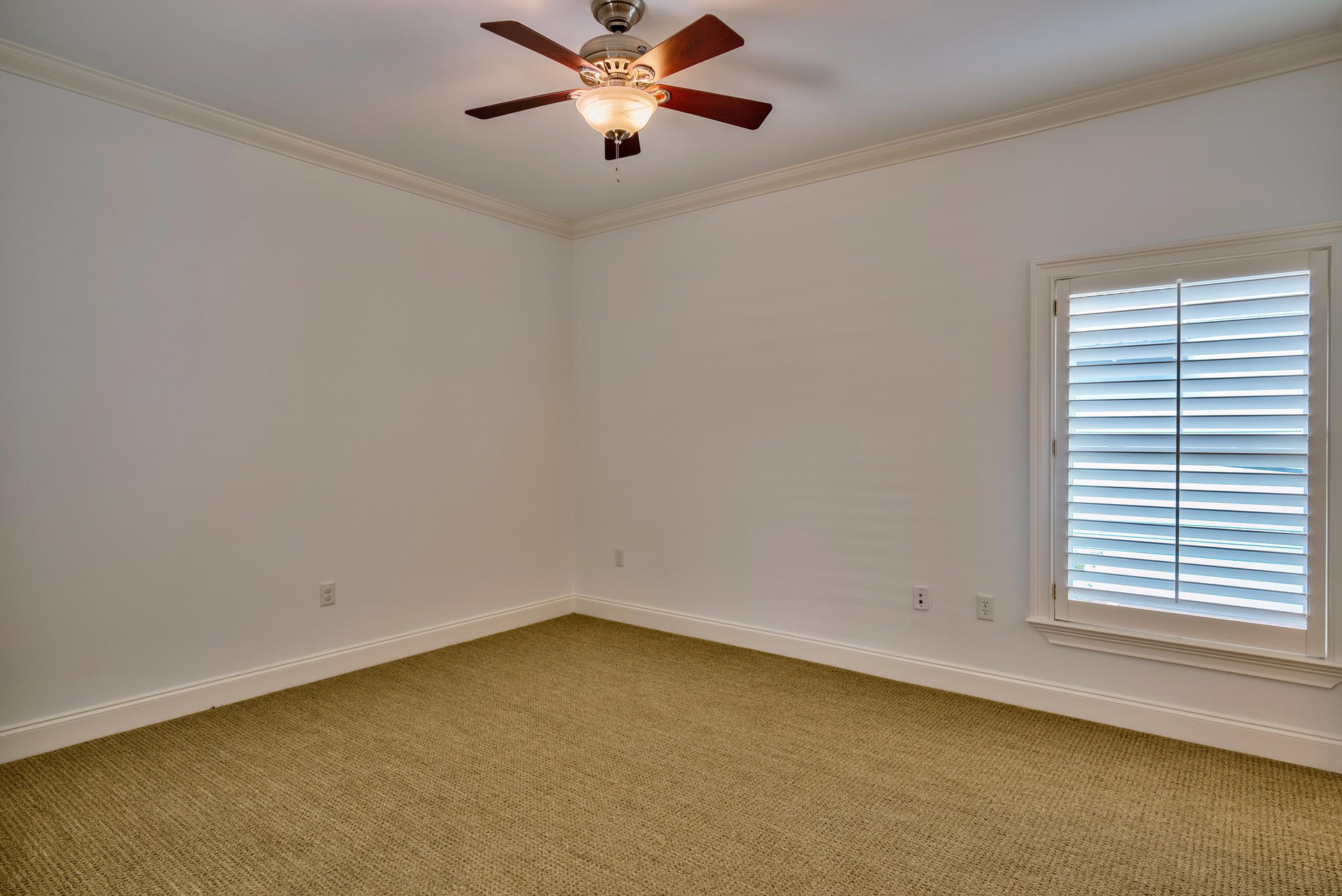 48 SURFER Lane