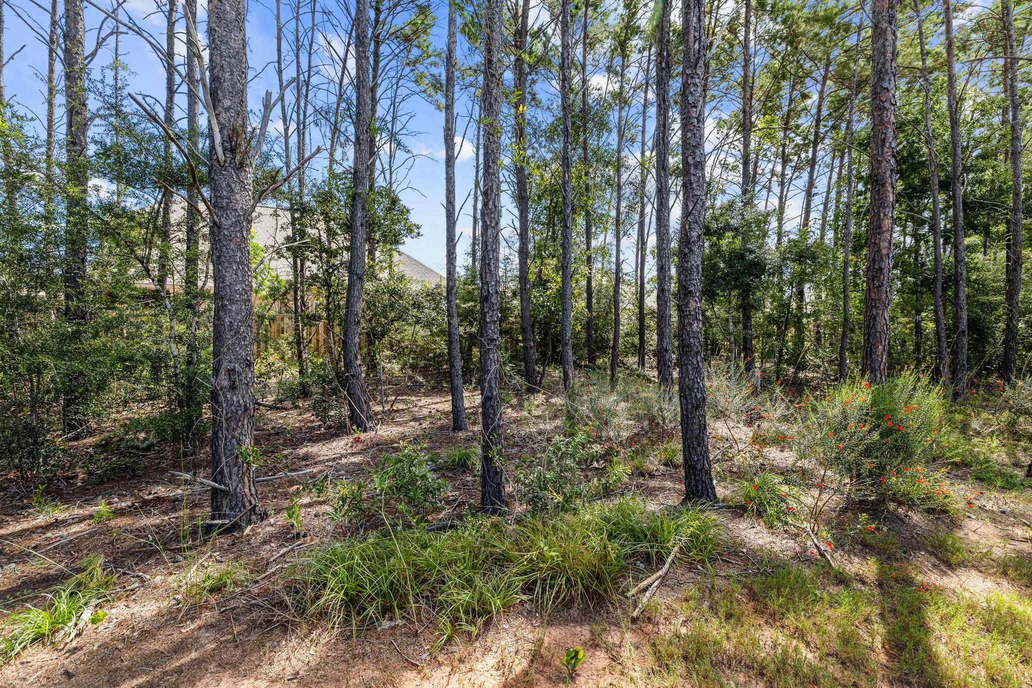 545 Earl Godwin Road