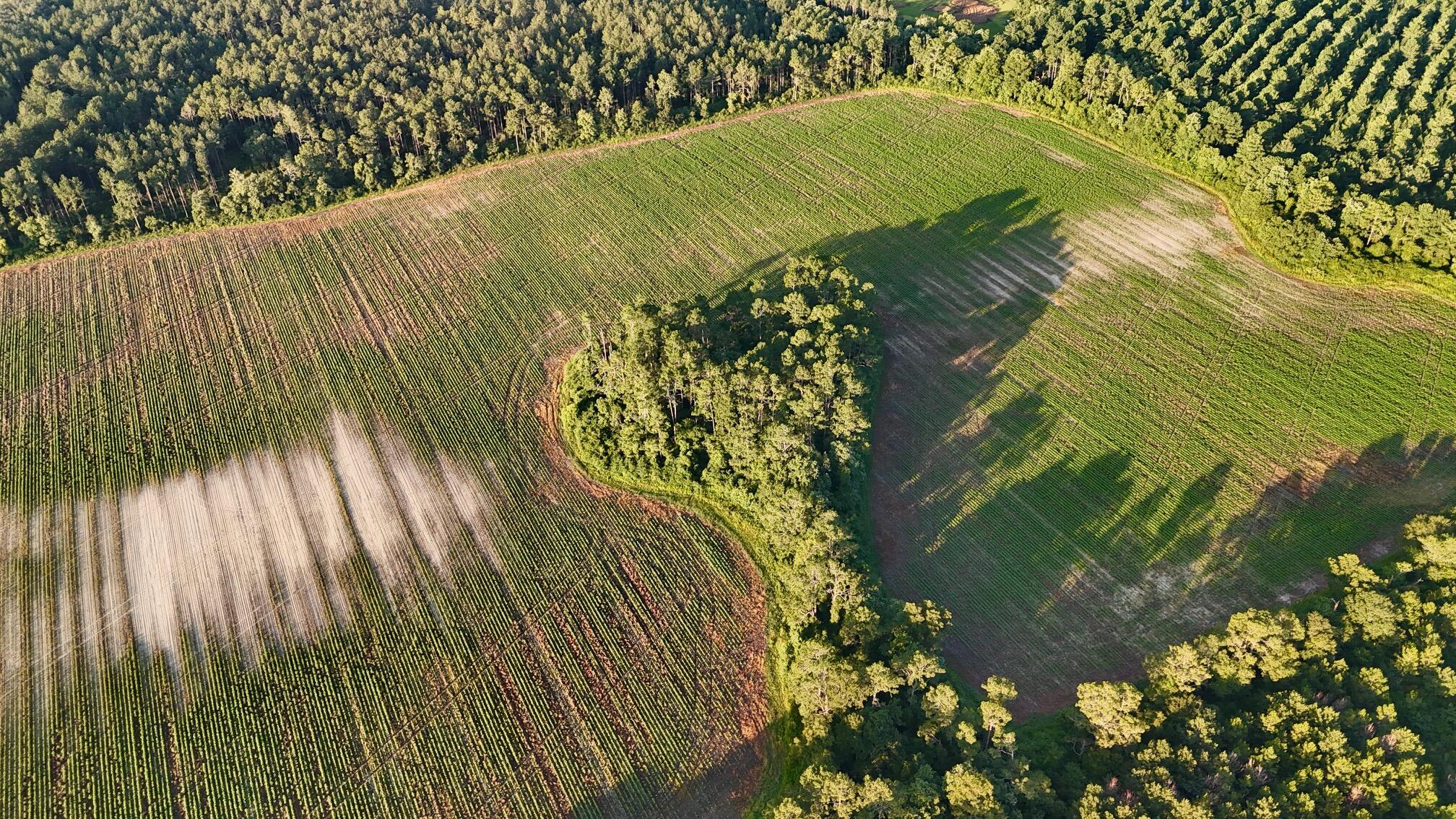 404 E E M White Road Road, DeFuniak Springs