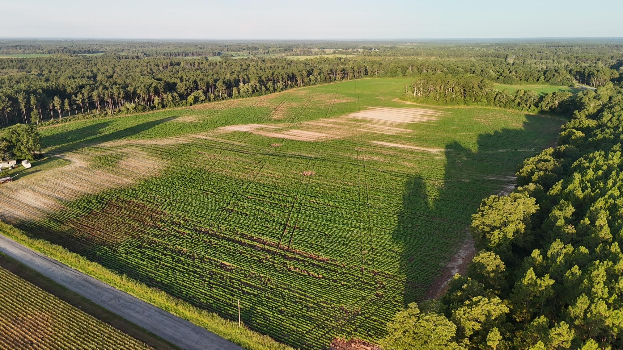 404 E E M White Road Road, DeFuniak Springs