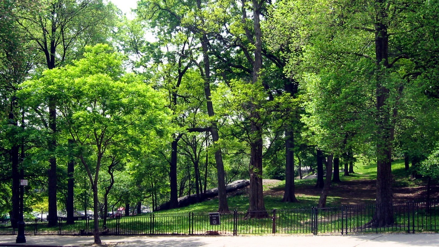 252 W 136TH Street