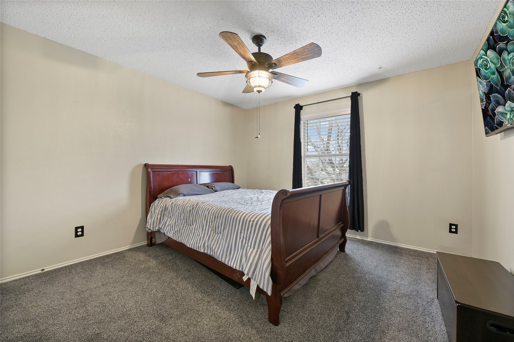 3909 Carlsbad Way