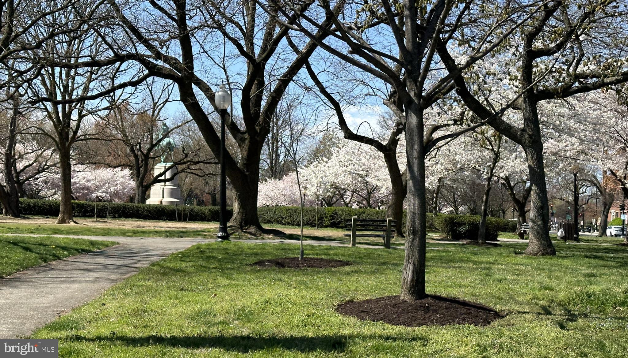 316 F STREET NE Unit: 215