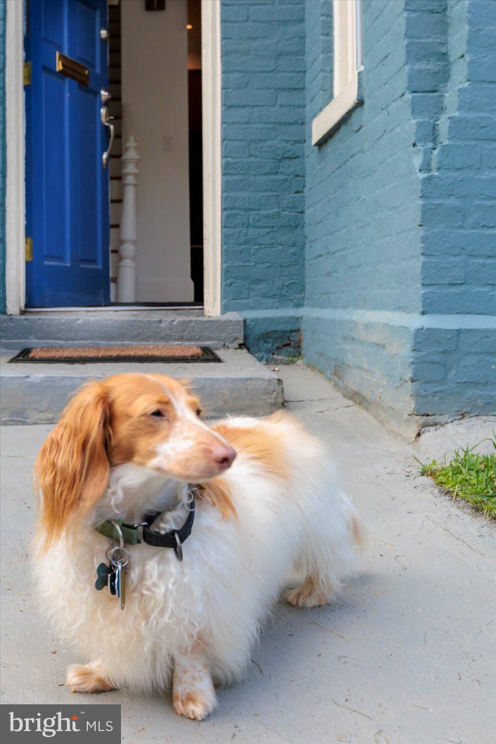 911 INDEPENDENCE AVENUE SE