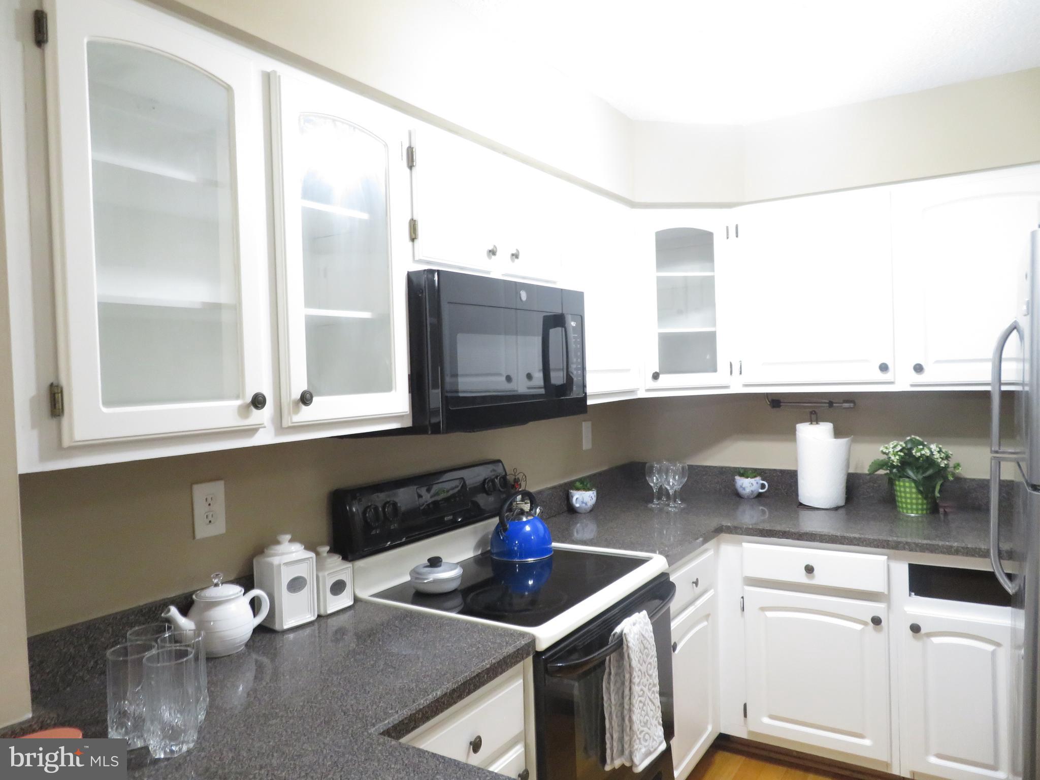 18205 Leman Lake Dr #509