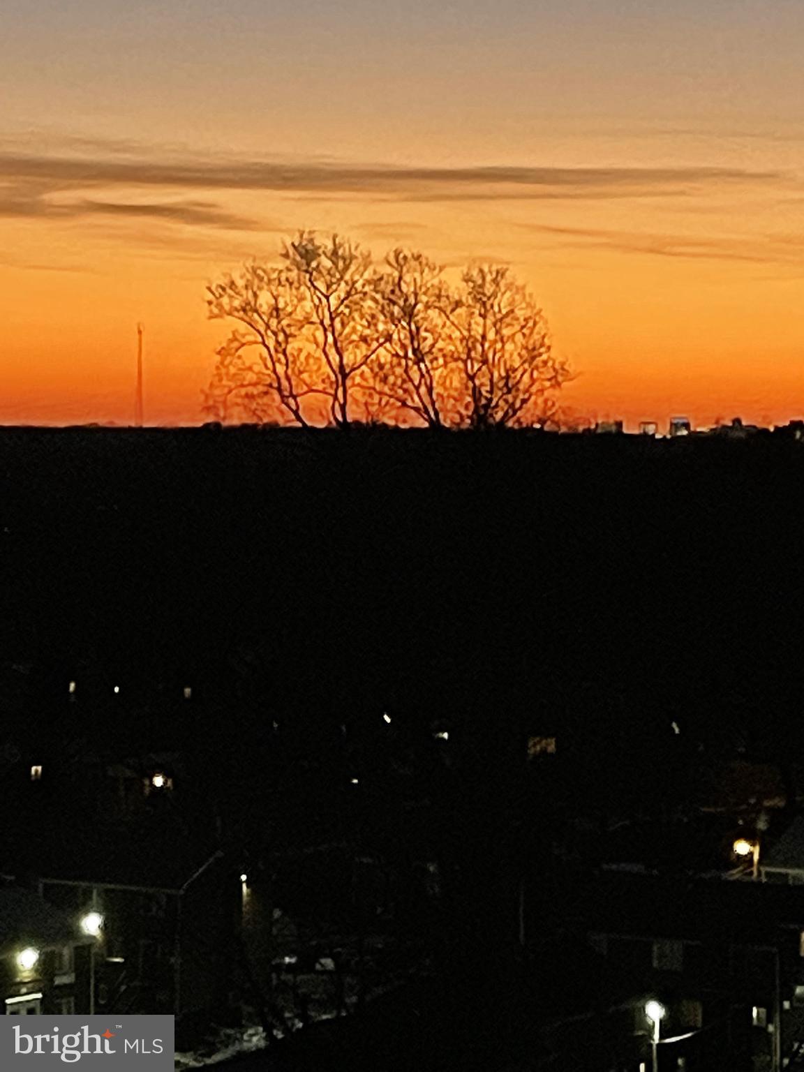 1900 Lyttonsville Rd #1315