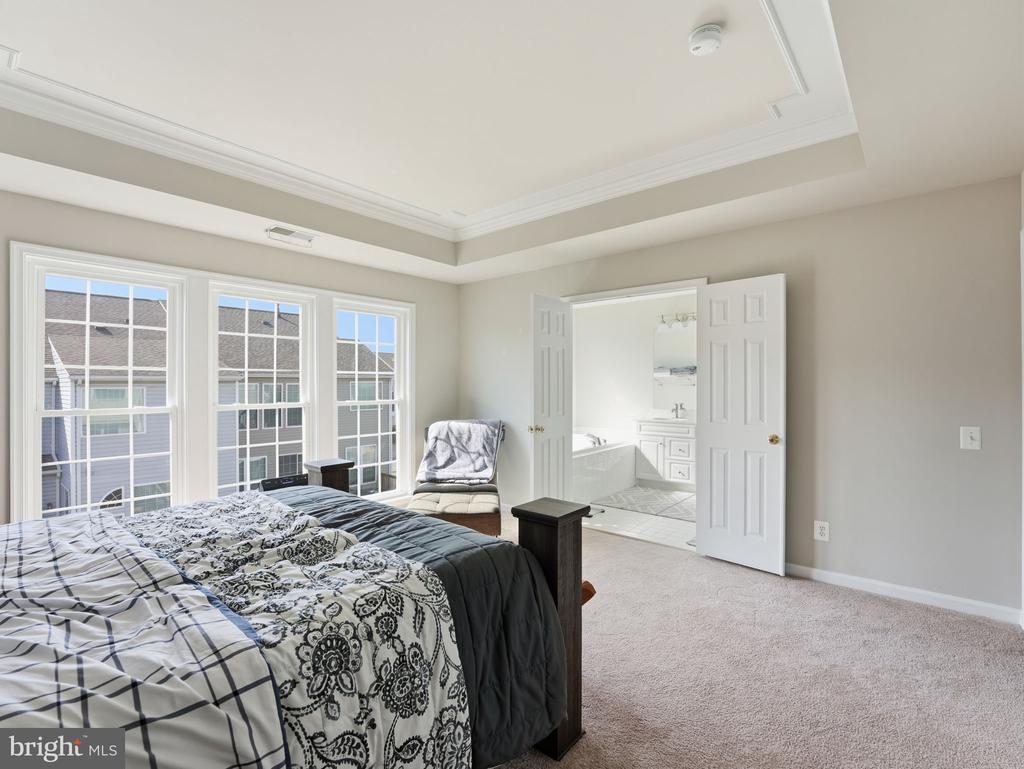 8239 RED CARNATION COURT
