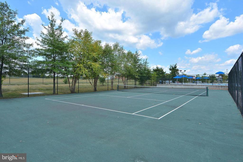 8239 RED CARNATION COURT
