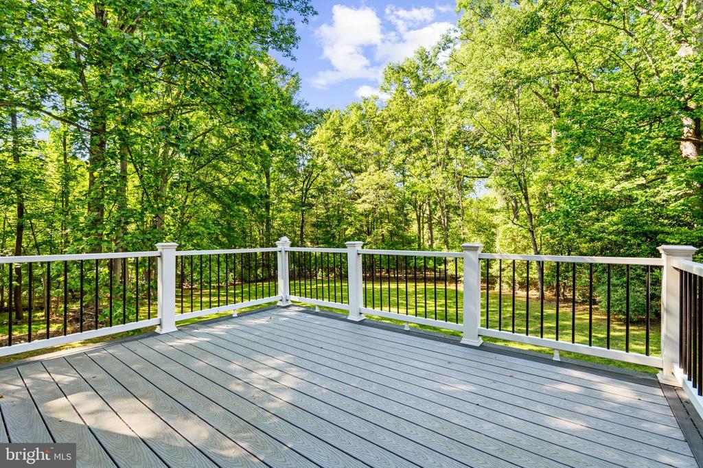11102 PRINCE EDWARD COURT