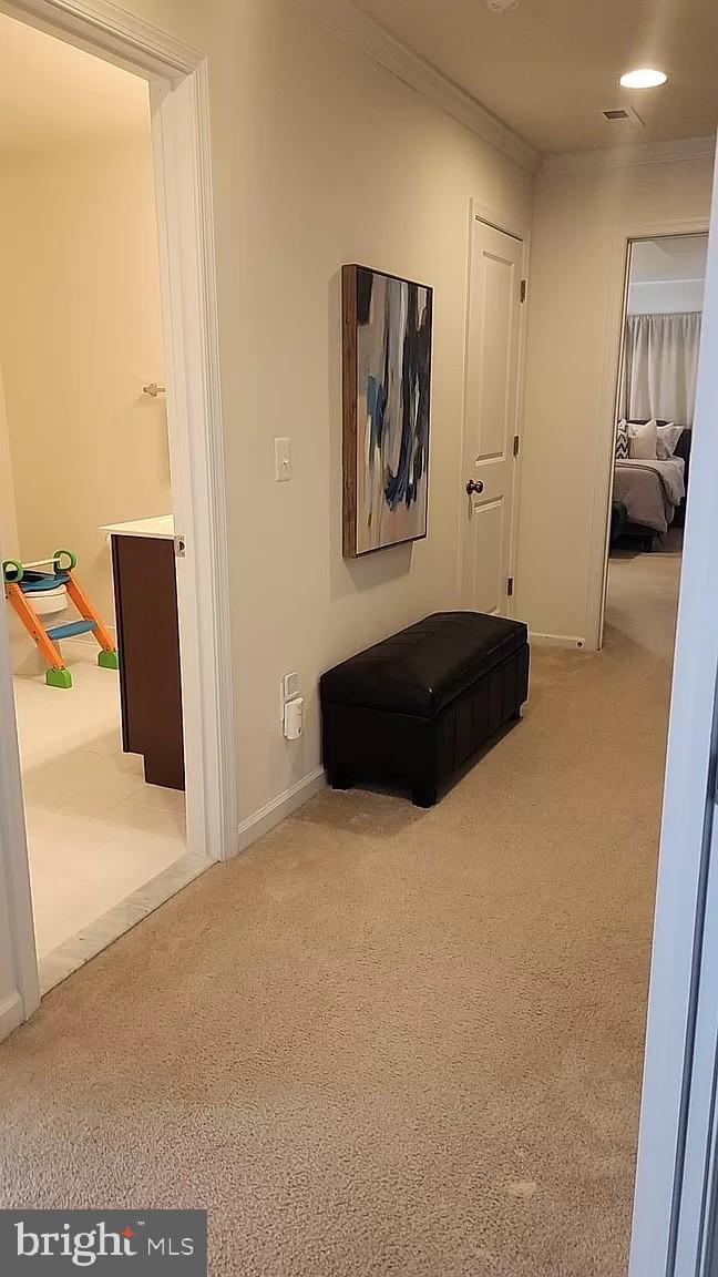 24460 Hawthorn Thicket Ter